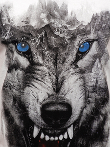 Camiseta estampada sin mangas color blanco Bolf 14824